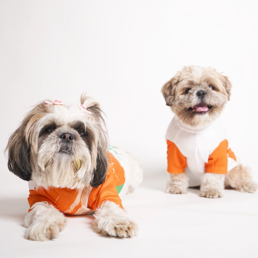 Pets Way Style 2 Republic Day T Shirt for Dogs