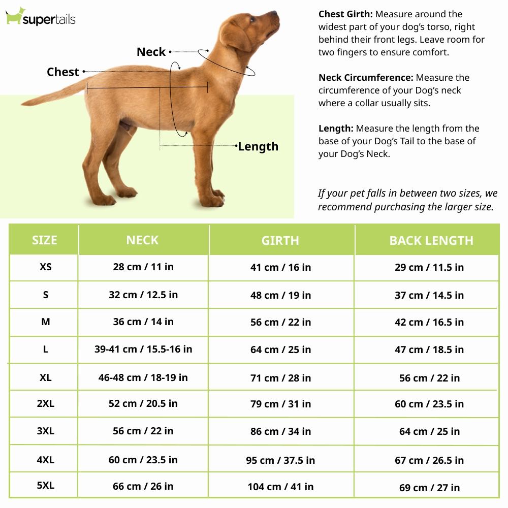 Pets Way Style 2 Republic Day T Shirt for Dogs