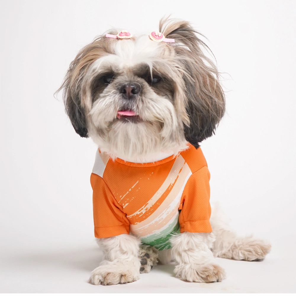 Pets Way Style 2 Republic Day T Shirt for Dogs