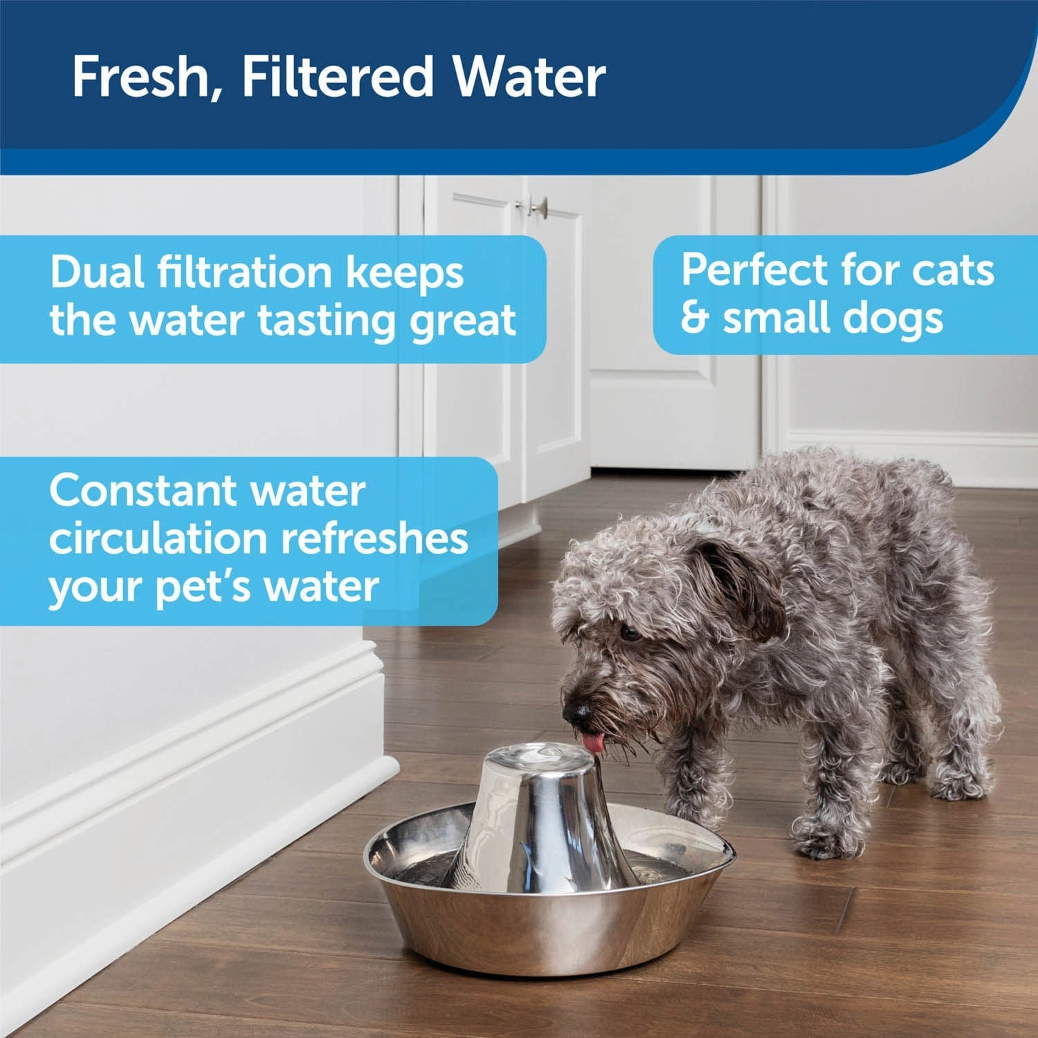 PetSafe Seaside Stainless Pet Fountain