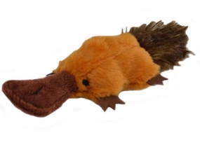 Platty Pup Cat Toy