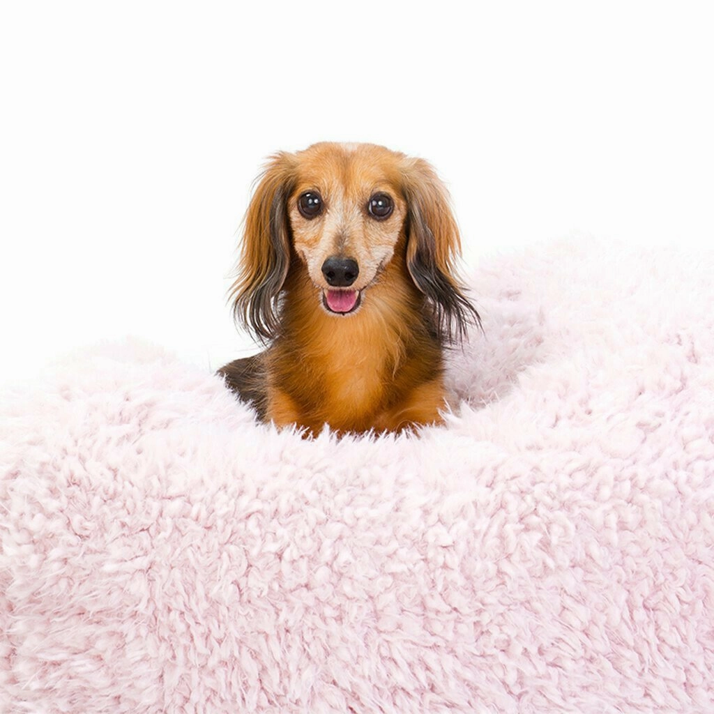 Pod Dog Bed