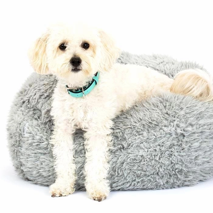 Pod Dog Bed