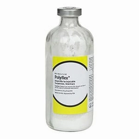 Polyflex (ampicillin) Injection for Dogs, Cats, & Cattle, 25 gm x 200 mL