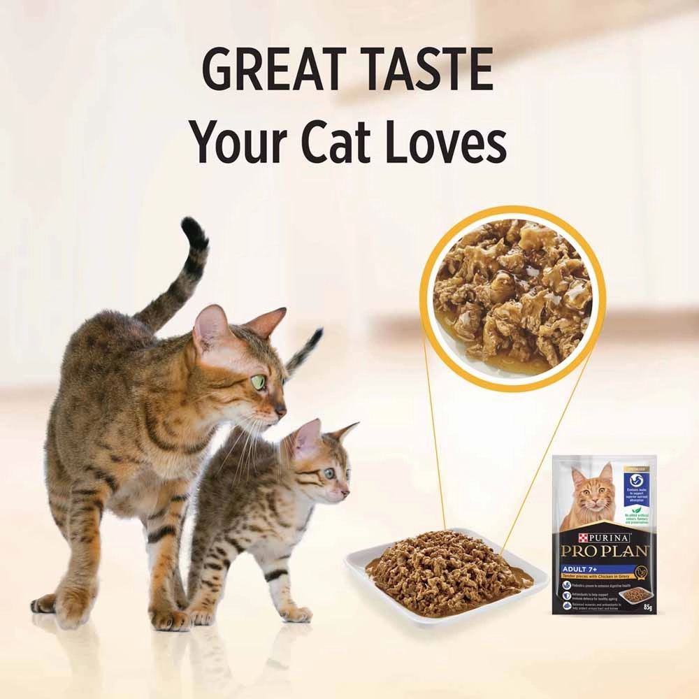 Pro Plan Chicken In Gravy Adult 7  Pouch Cat Food 85g x 12