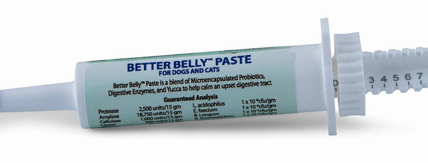 Prothrive Better Belly Paste, 15 gm