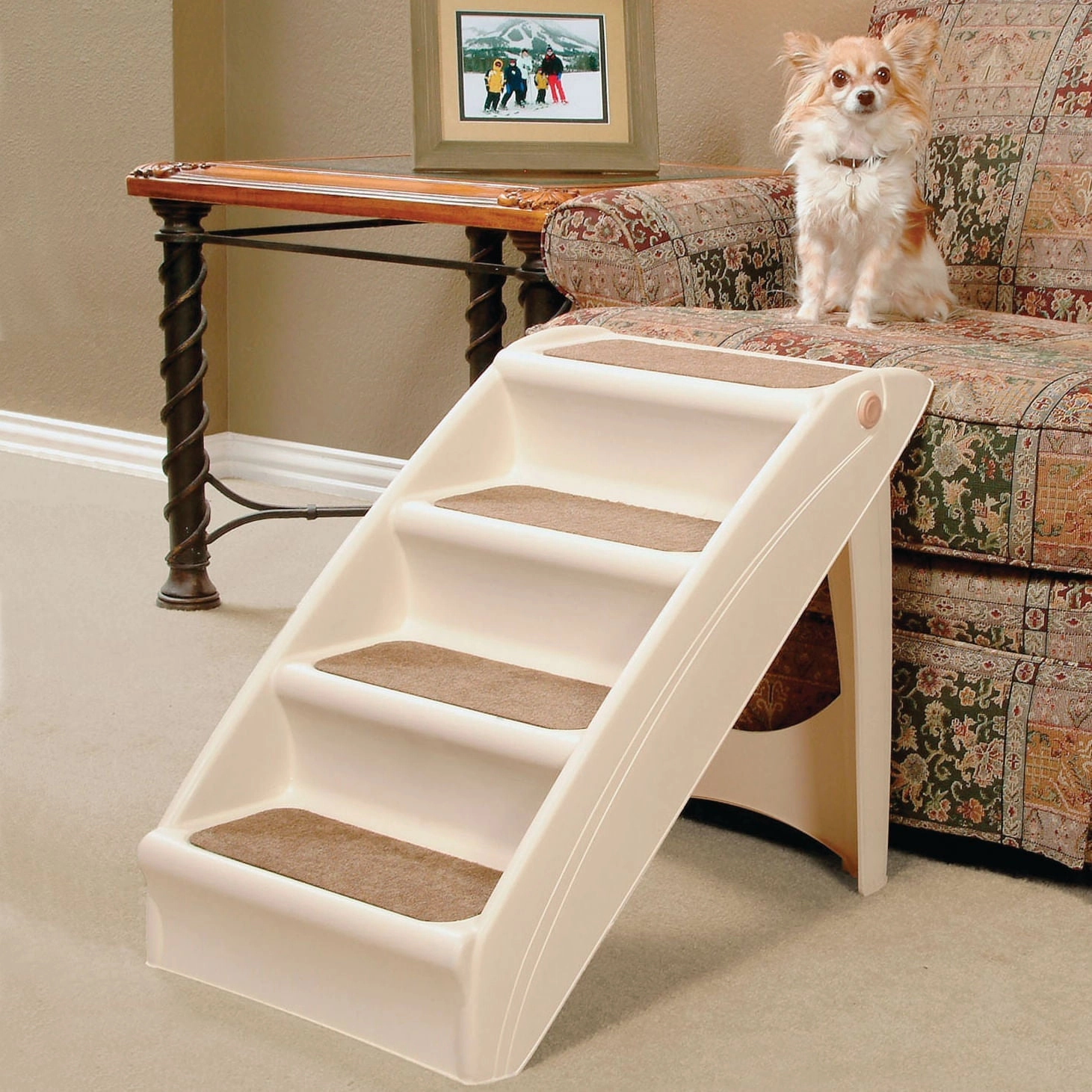PupStep Plus Stairs