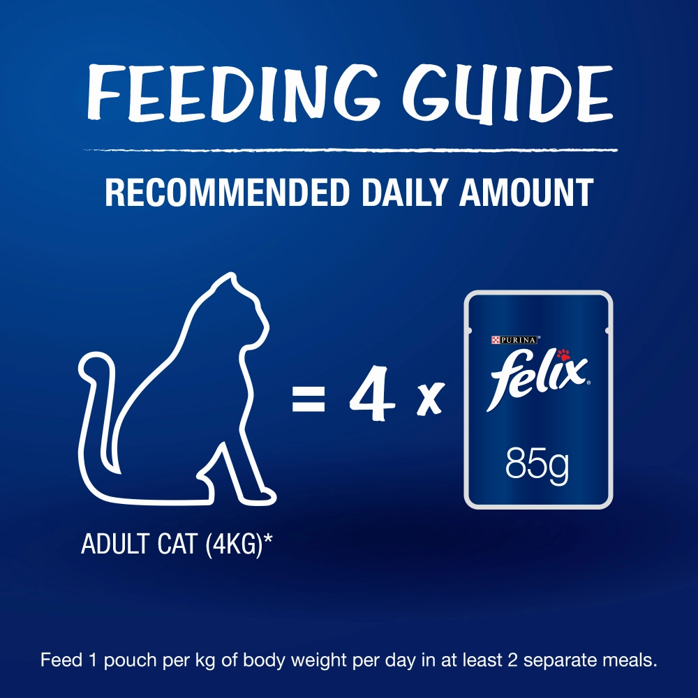 Purina Felix Mackerel with Jelly and Sardine with Jelly Adult Cat Wet Food Combo