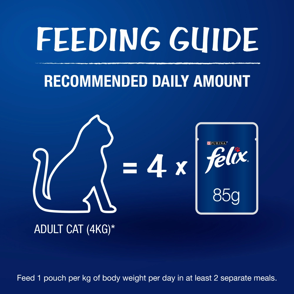Purina Salmon with Jelly and Tuna with Jelly Adult Cat Wet Food Combo