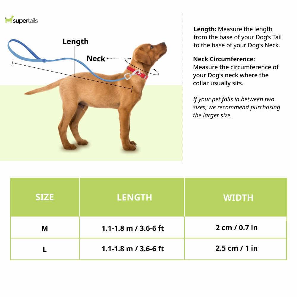 Red Dingo Classic SuperLead Leash For Dogs (Purple)