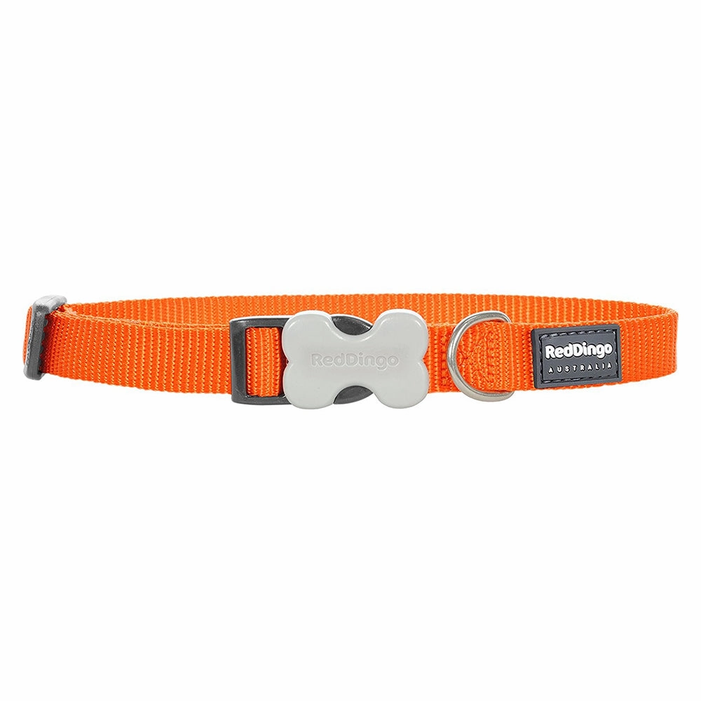 Red Dingo Dog Collar Orange (15mm x 24-36cm)