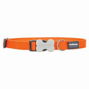 Red Dingo Dog Collar Orange (25mm x 41-63cm)