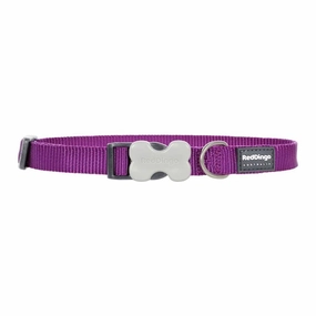 Red Dingo Dog Collar Purple (15mm x 24-36cm)