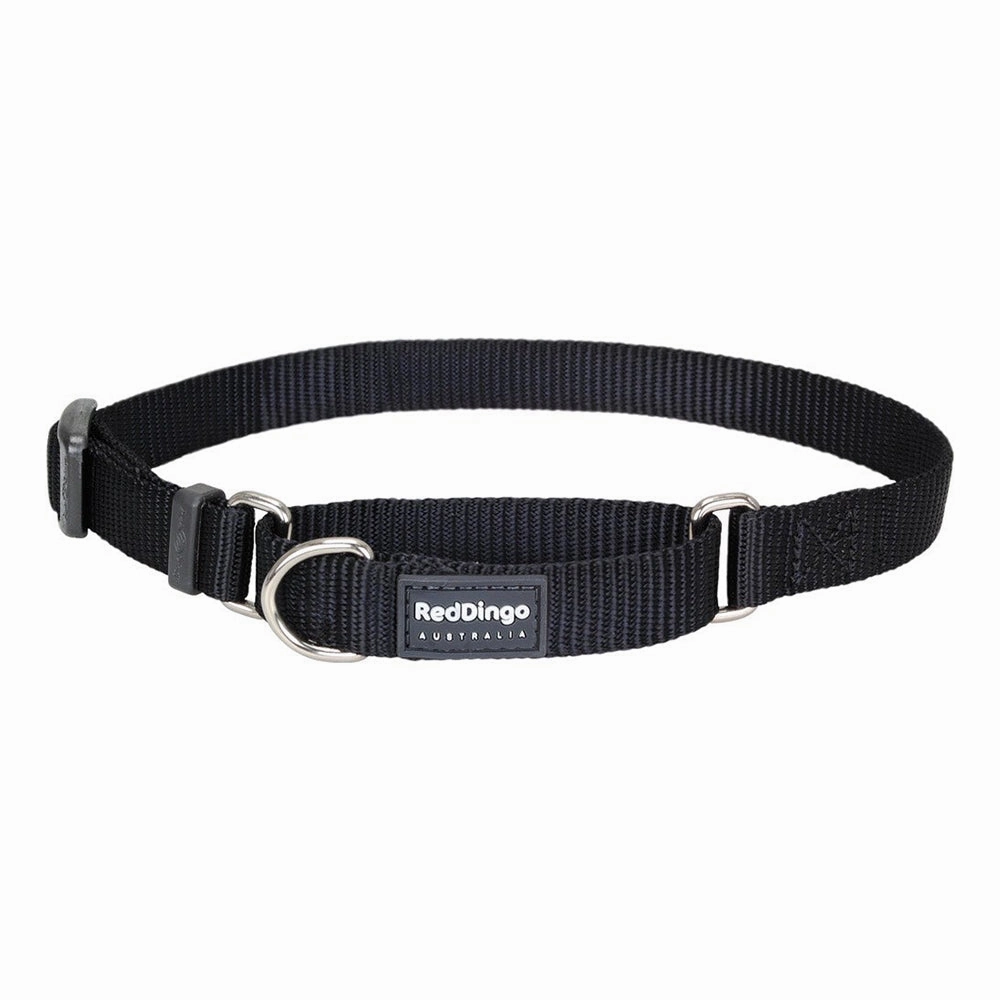 Red Dingo Dog Martingale Collar Black (25mm x 41-63cm)