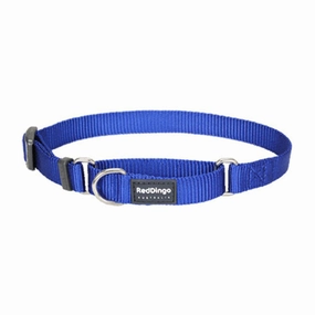Red Dingo Dog Martingale Collar Blue (15mm x 24-36cm)