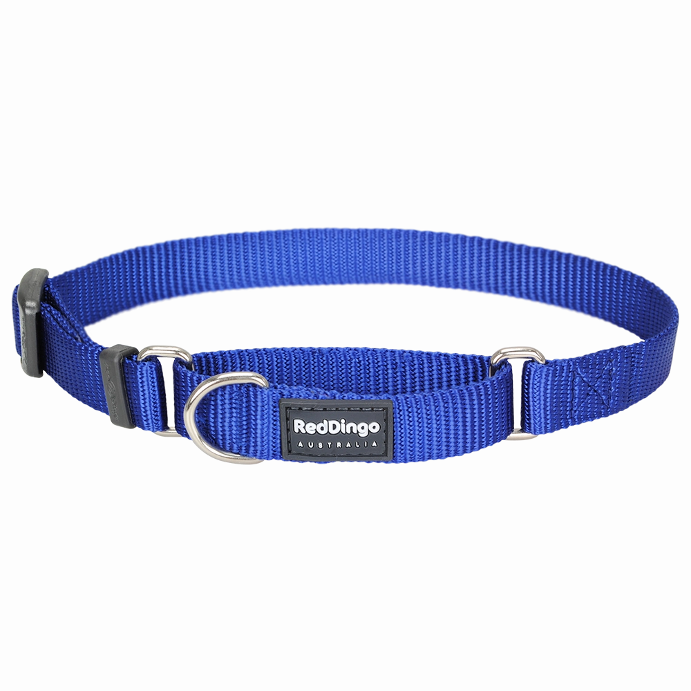 Red Dingo Dog Martingale Collar Dark Blue (25mm x 41-63cm)