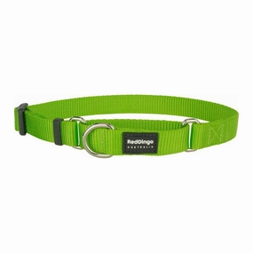 Red Dingo Dog Martingale Collar Lime (12mm x 21-33cm)
