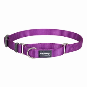 Red Dingo Dog Martingale Collar Purple (20mm x 32-47cm)