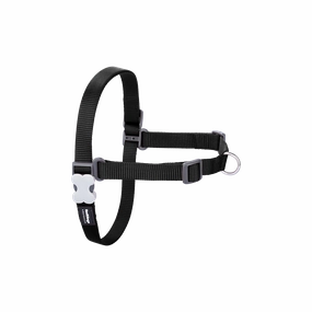 Red Dingo Dog No-Pull Harness - Black XL