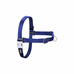 Red Dingo Dog No-Pull Harness - Dark Blue S/M