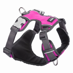 Red Dingo Padded Harness Hot Pink M