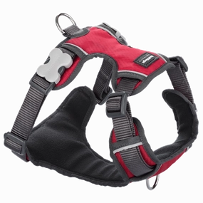 Red Dingo Padded Harness Red S