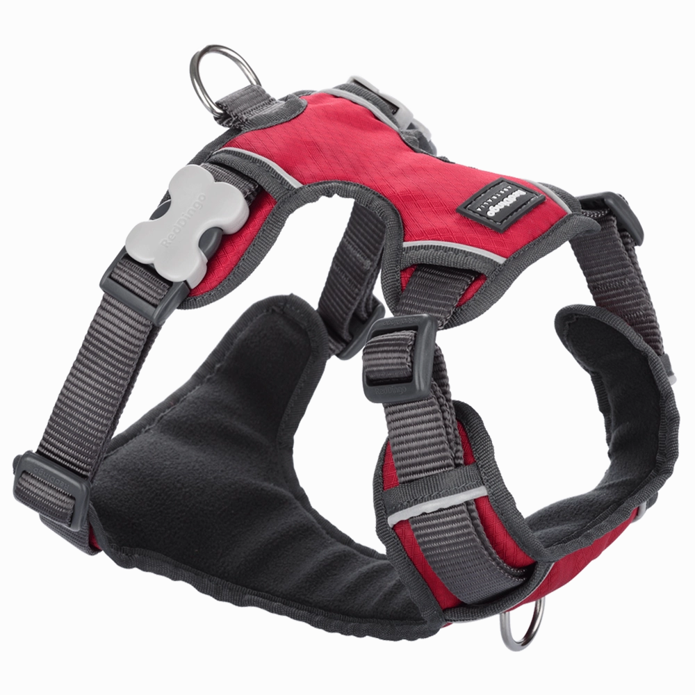 Red Dingo Padded Harness Red XL