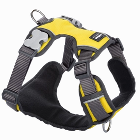 Red Dingo Padded Harness Yellow L