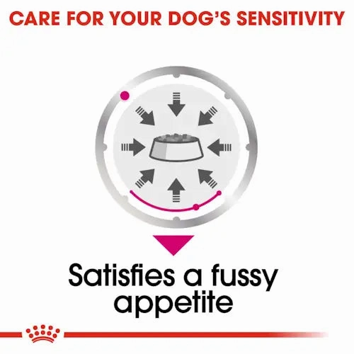 Royal Canin - Exigent Dog Loaf Wet Food 85g