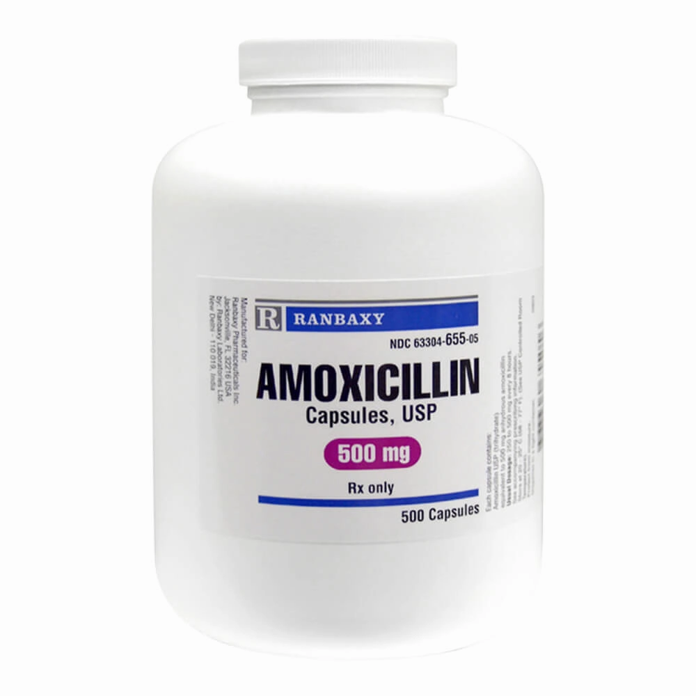 Rx Amoxicillin (Generic) Capsules for Dogs & Cats