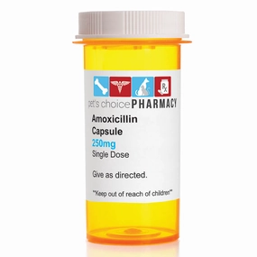 Rx Amoxicillin (Generic) Capsules for Dogs & Cats