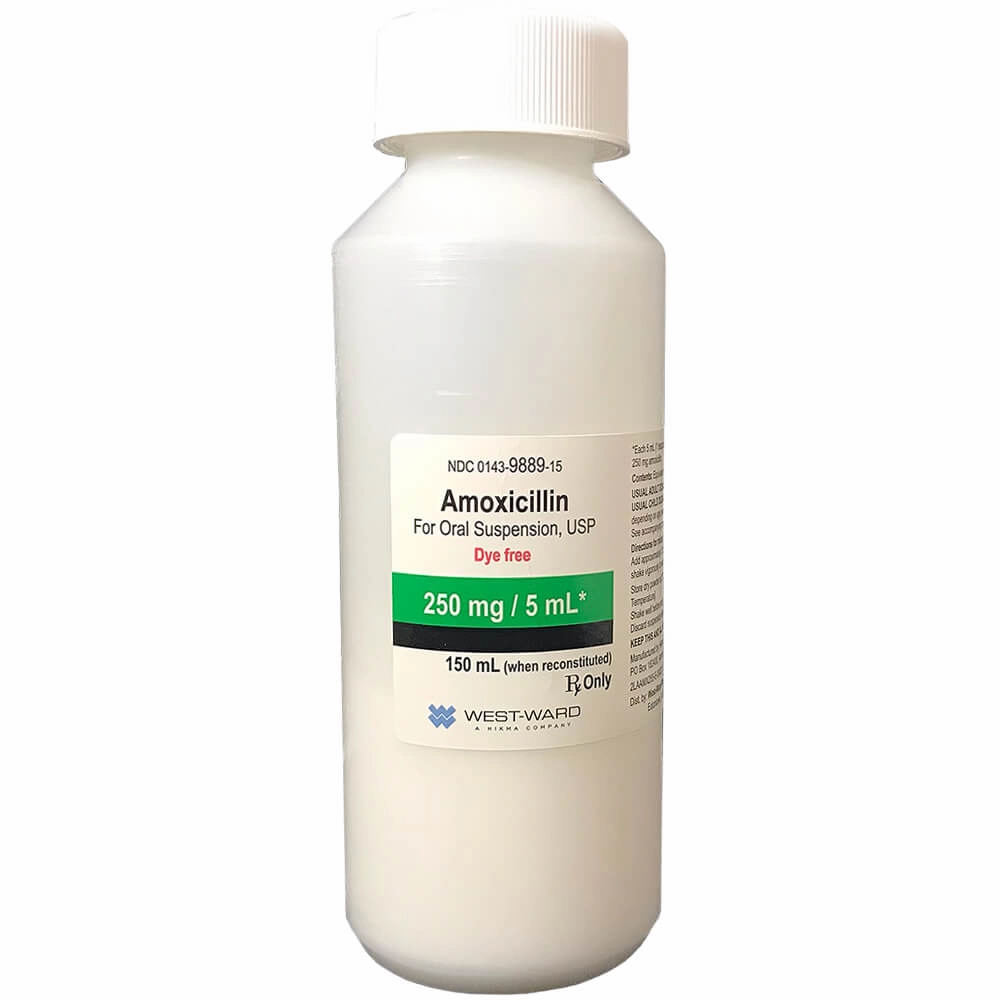 Rx Amoxicillin (Generic) Oral Suspension for Dogs & Cats