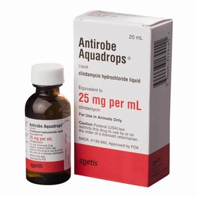 Rx Antirobe (clindamycin hydrochloride liquid) Aquadrops for Dogs & Cats, 25mg/ml x 20ml