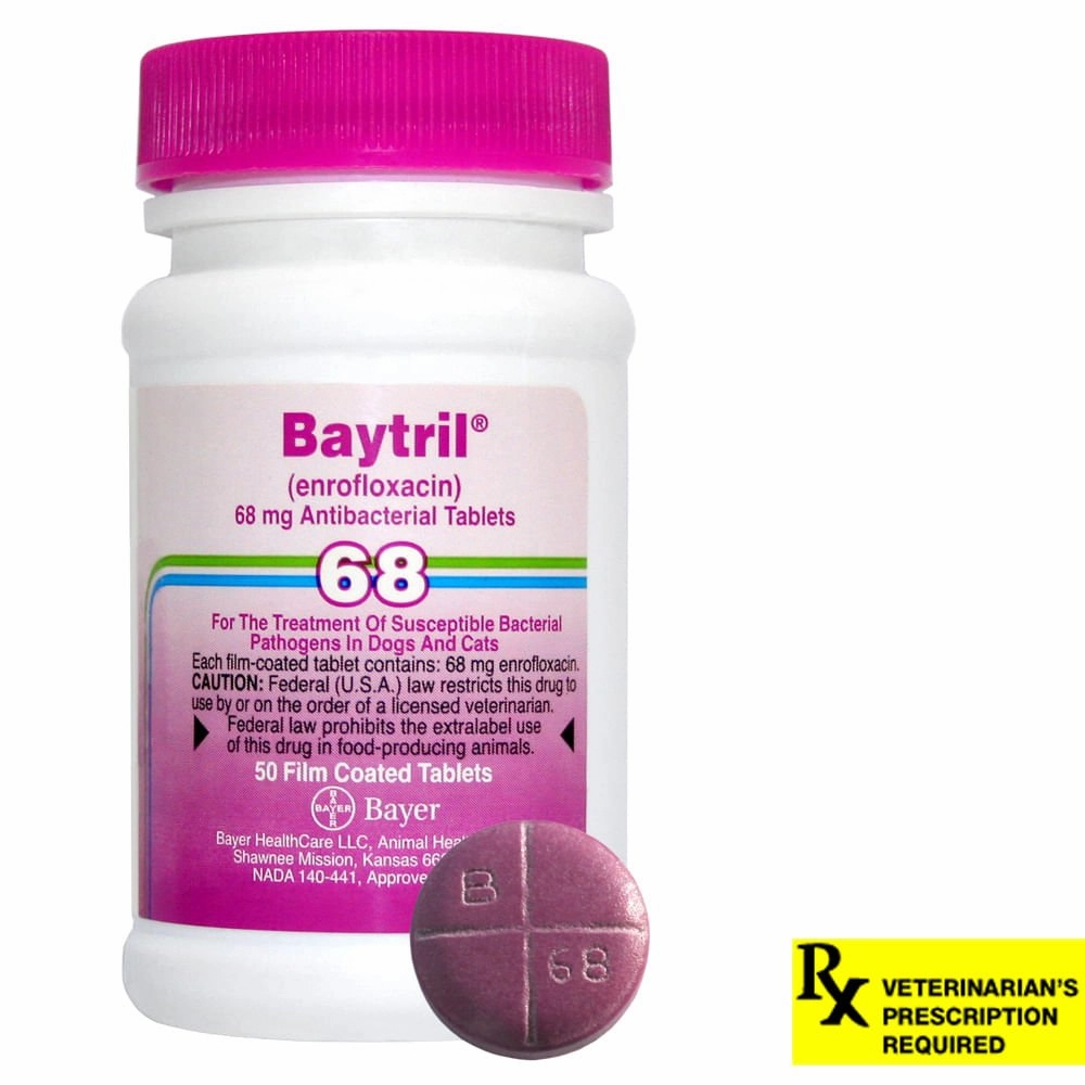Rx Baytril (enrofloxacin) Coated Tablets for Cats & Dogs