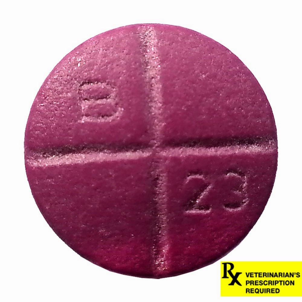 Rx Baytril (enrofloxacin) Coated Tablets for Cats & Dogs