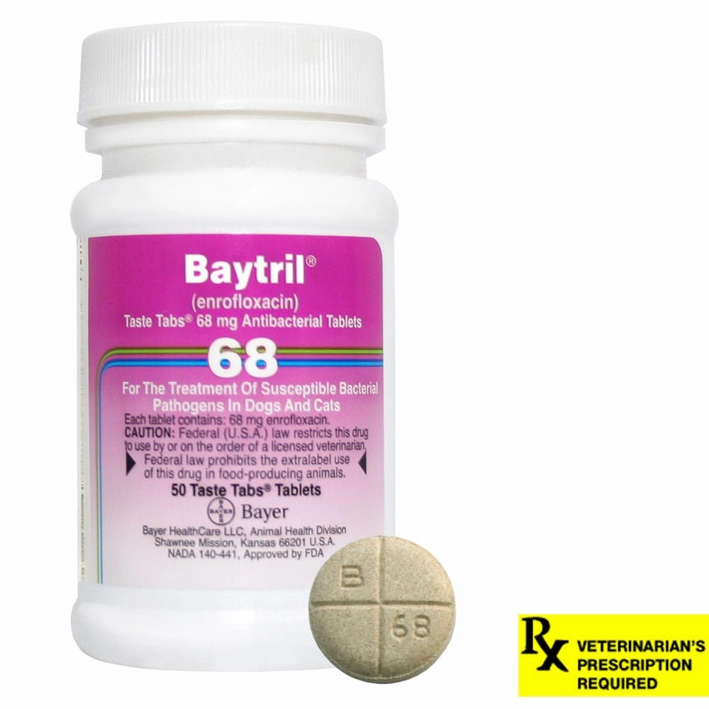 Rx Baytril for Dogs and Cats (Tablets)