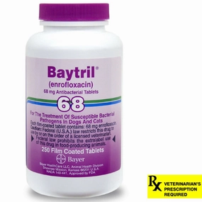 Rx Baytril for Dogs and Cats (Tablets)