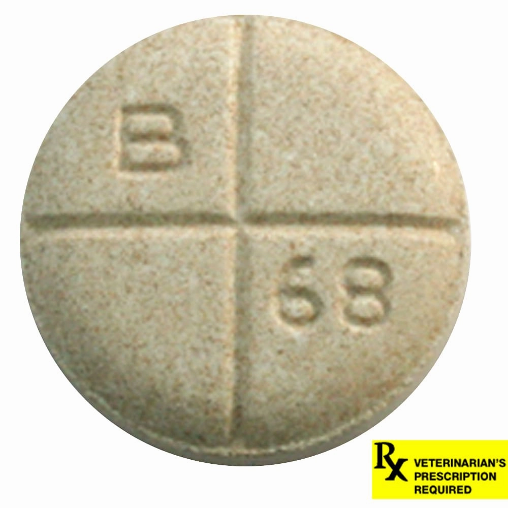 Rx Baytril for Dogs and Cats (Tablets)