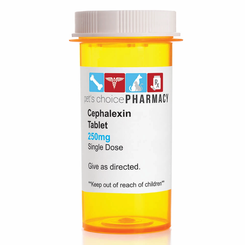 Rx Cephalexin (Generic) Tablets for Cats & Dogs