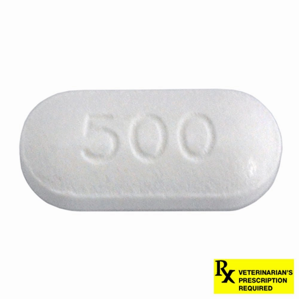 Rx Ciprofloxacin HCl (Generic) Tablets for Dogs & Cats