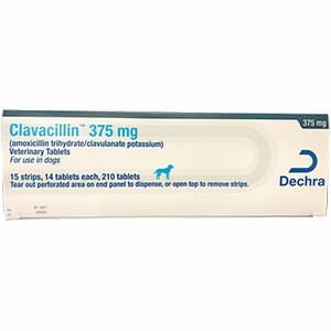 Rx Clavacillin (amoxicillin trihydrate/clavulanate potassium) Tablets for Dogs