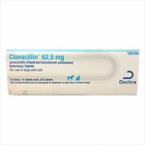Rx Clavacillin (amoxicillin trihydrate/clavulanate potassium) Tablets for Dogs
