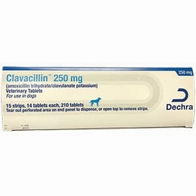 Rx Clavacillin (amoxicillin trihydrate/clavulanate potassium) Tablets for Dogs