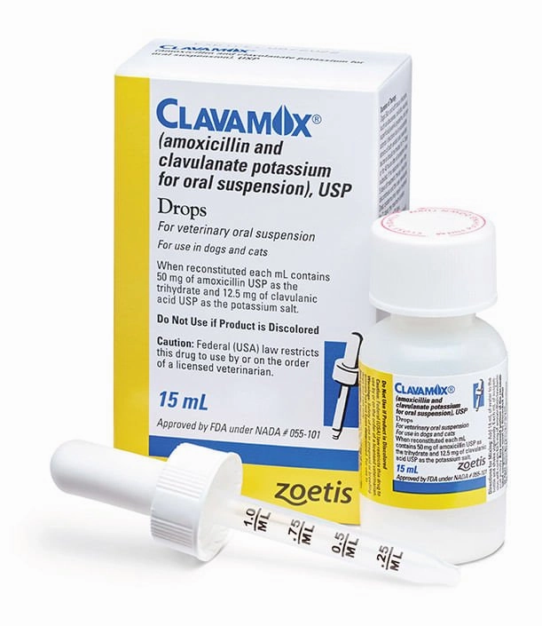 Rx Clavamox for Dogs and Cats (Amoxicillin trihydrate/clavulanate potassium) For Oral Suspension Oral Drops, 15 ml