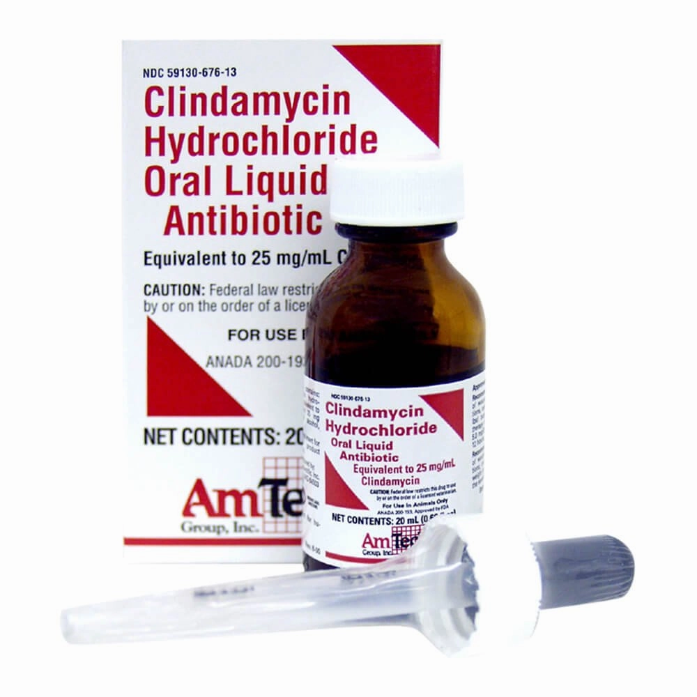 Rx Clindamycin, 25mg/ml Oral Drops x 20 ml bottle