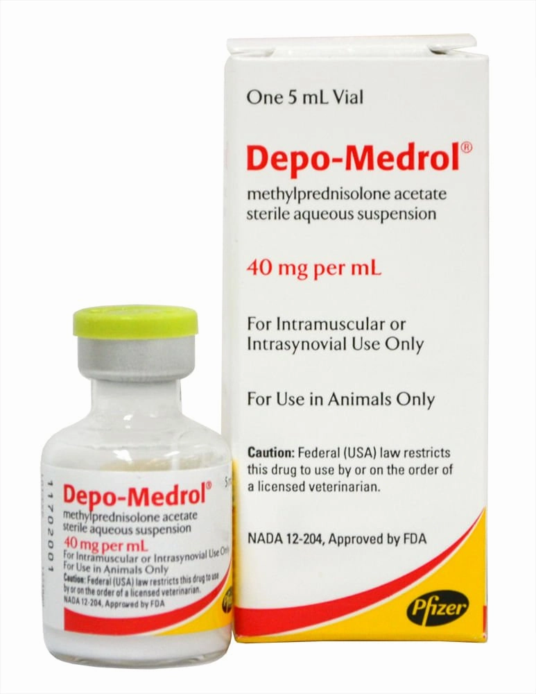 Rx Depo-Medrol Injection for Dogs, Cats, & Horses