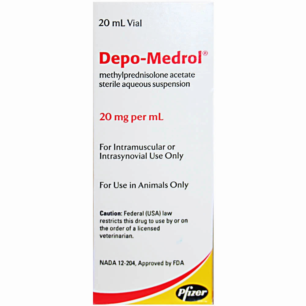 Rx Depo-Medrol Injection for Dogs, Cats, & Horses