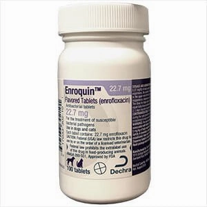 Rx Enroquin (enrofloxacin) Tablets for Dogs and Cats