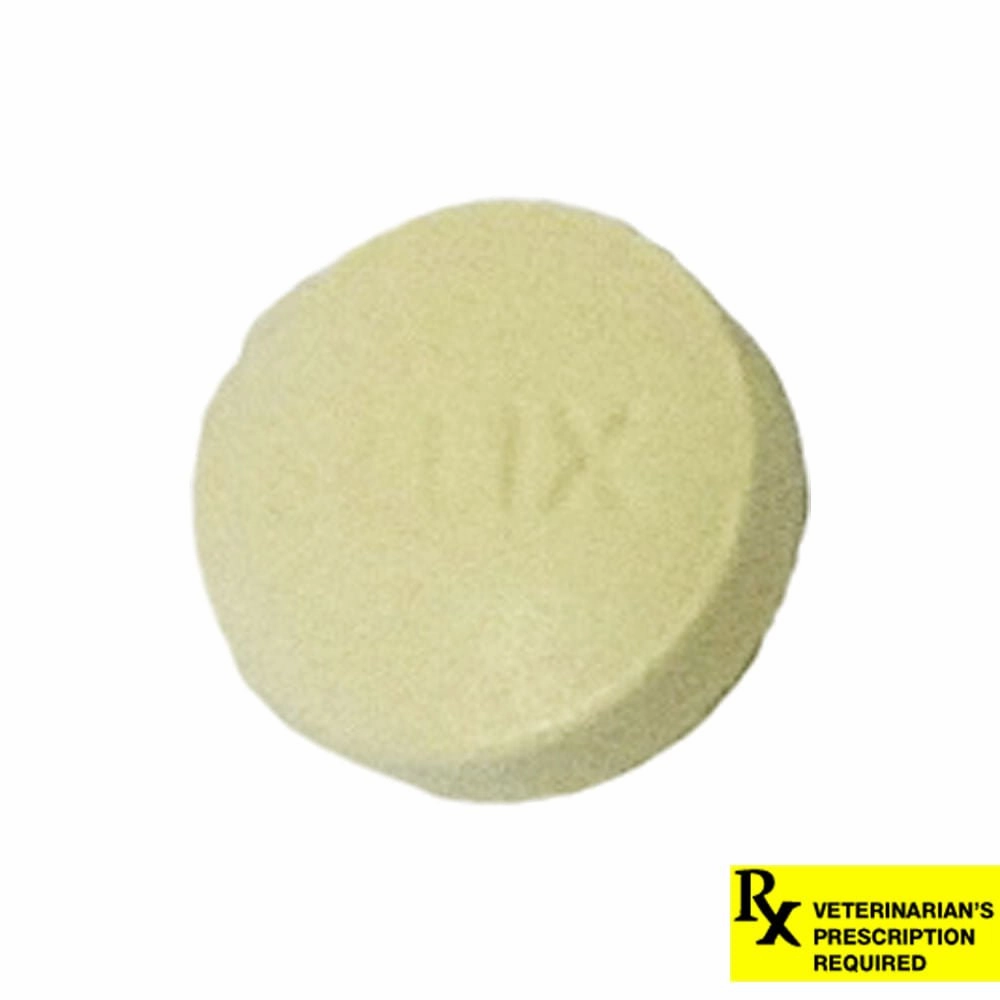 Rx Furosemide (Generic) Tablets for Dogs & Cats