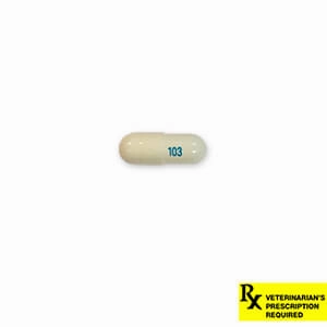 Rx Gabapentin (Generic) Capsules for Dogs & Cats